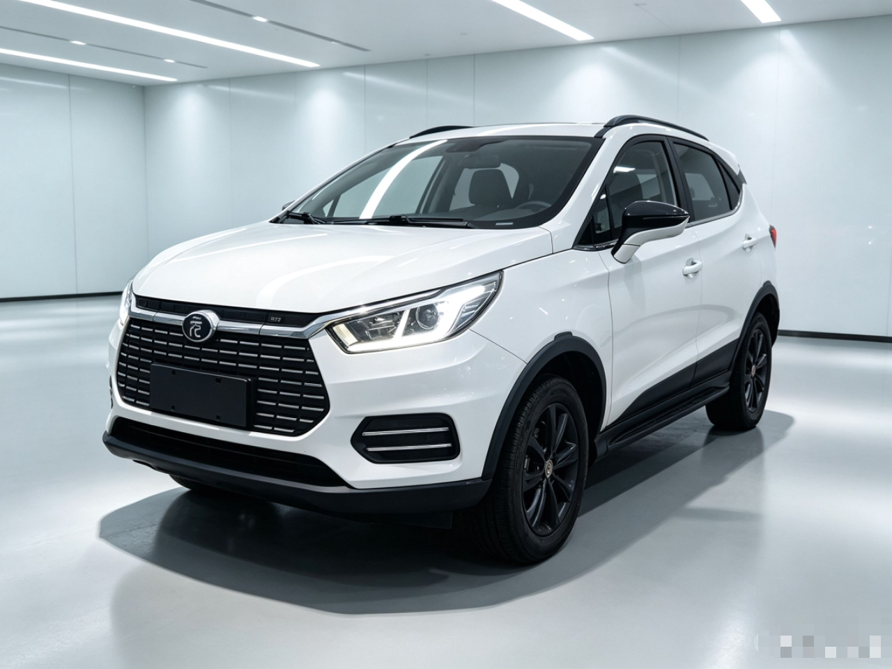 Yuan EV 2019 EV360 Connected