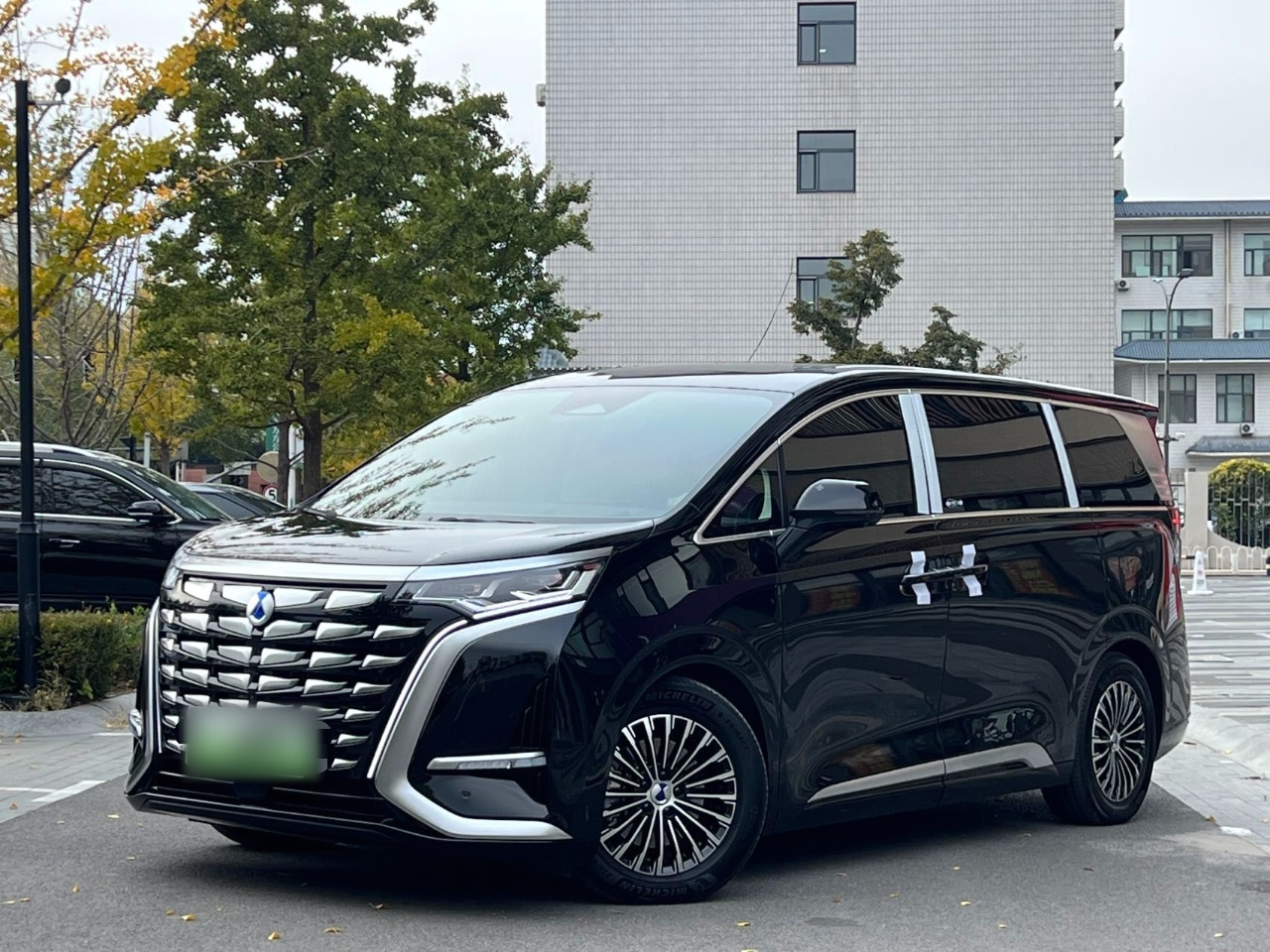 D9 2024 DM-i 980 AWD Noble