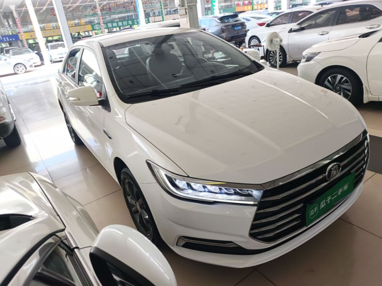 Qin 2019 1.5L AT Luxury photo 3