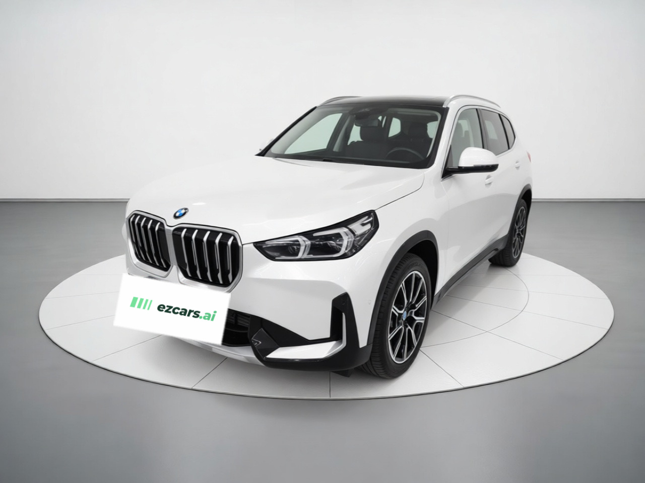 X1 2024 sDrive25Li X Design Package