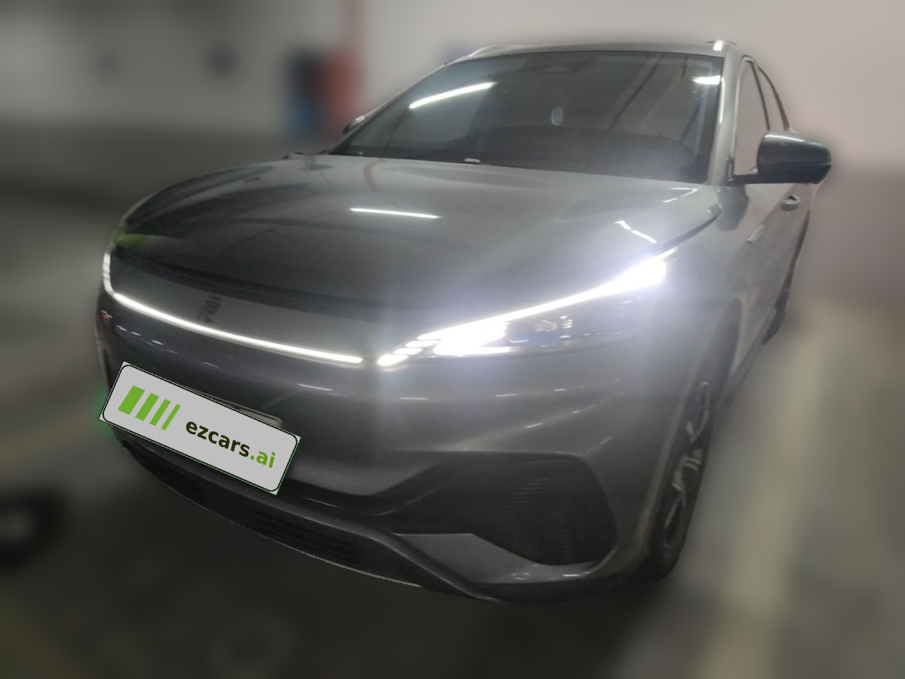 Yuan PLUS 2024 Honor 430KM