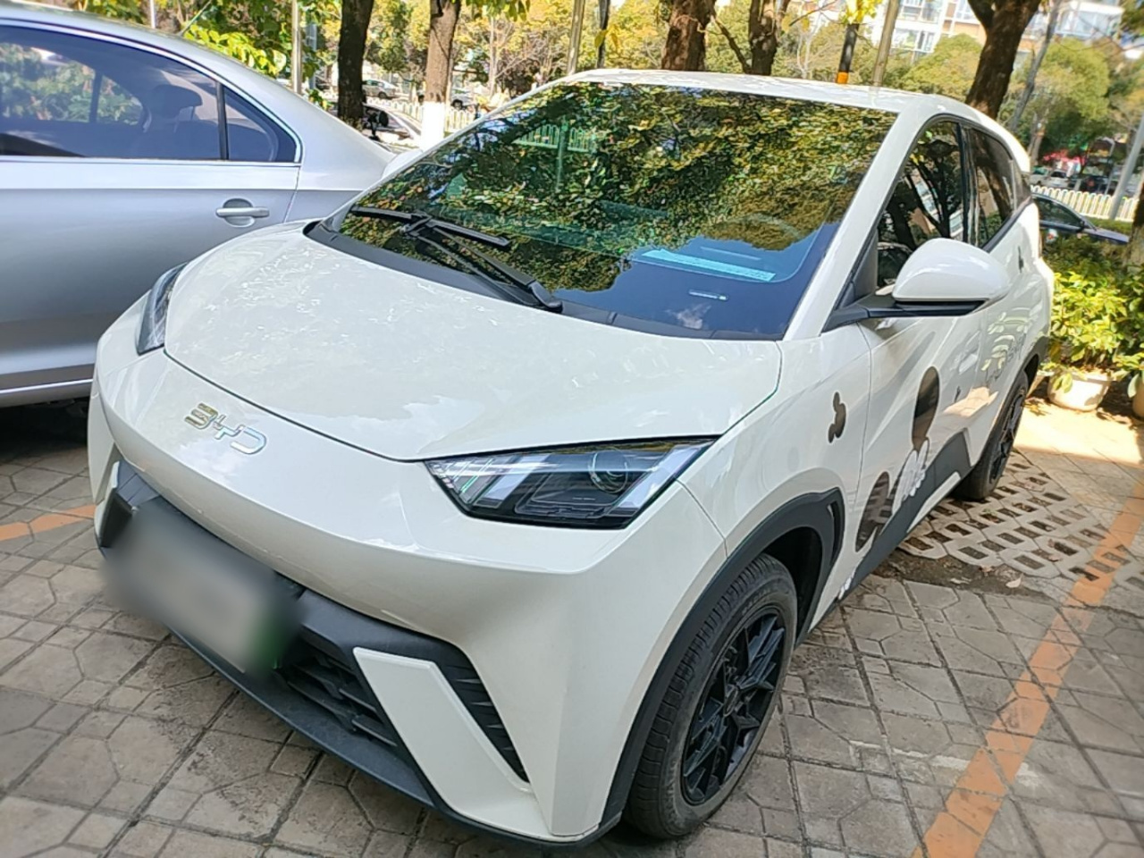 Seagull 2025 305km