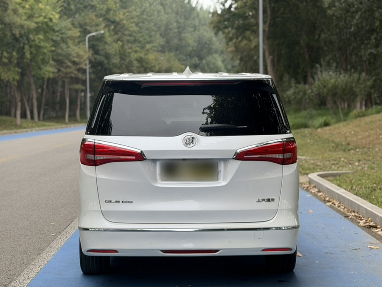GL8 2017 ES 28T Luxury China V photo 3