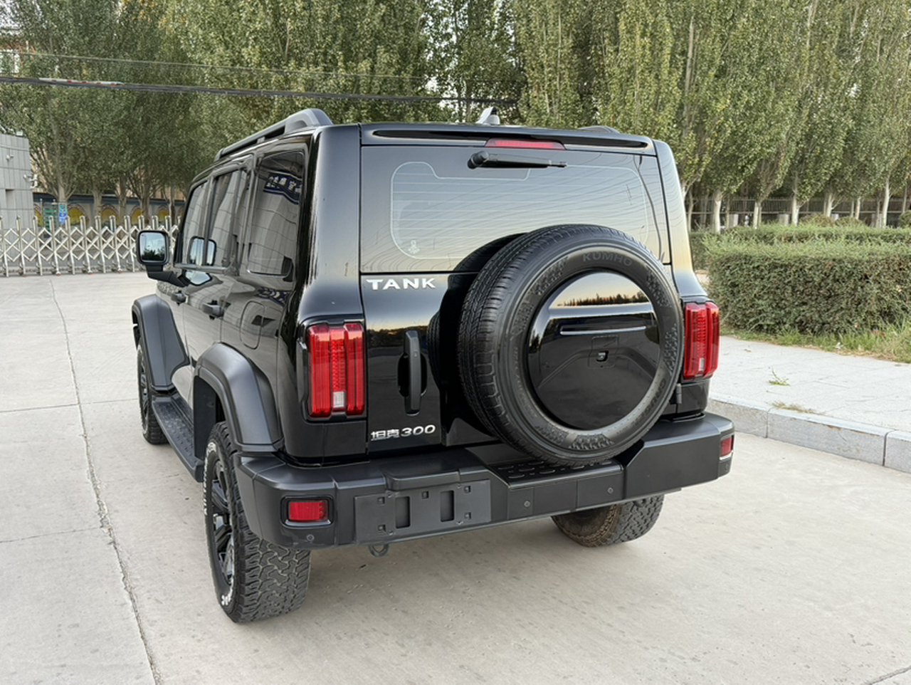 300 2021 Off-road 2.0T Conqueror photo 2