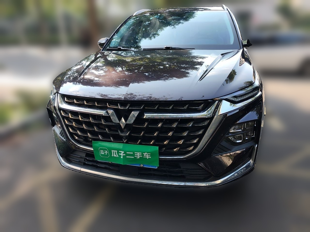 Wuling 2023 2.0L DHT photo 2
