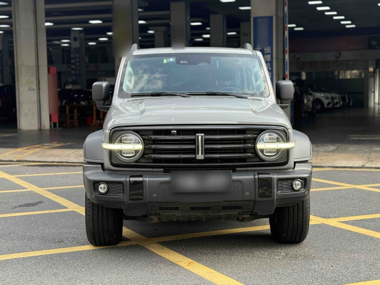 300 2021 Off-road 2.0T photo 3