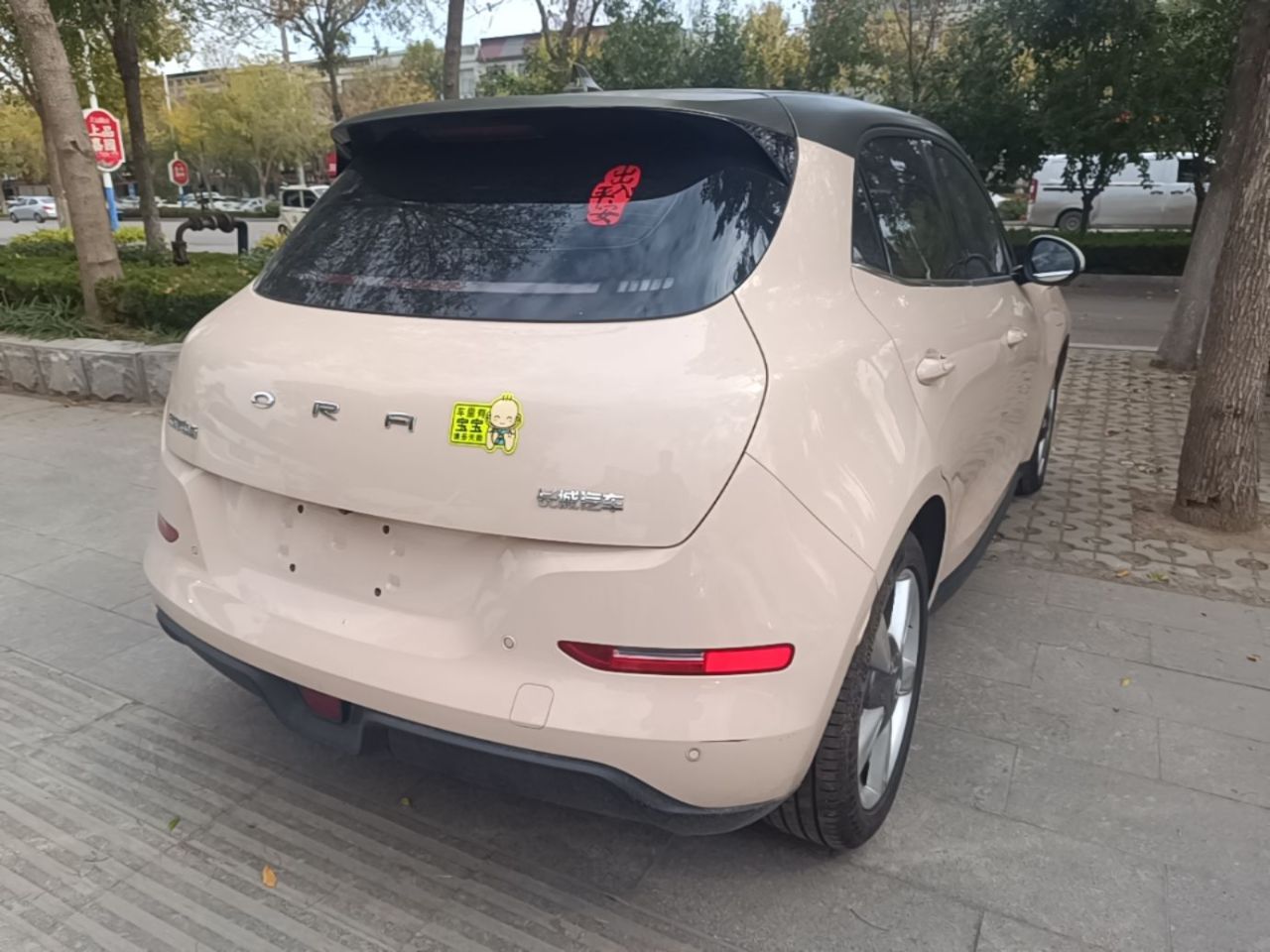 Good Cat 2021 400km Standard Range LFP photo 4