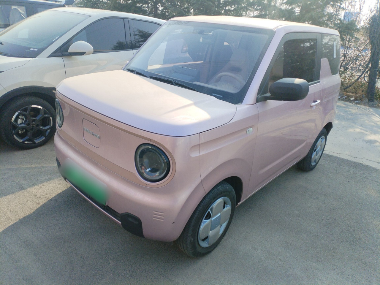 2024 Panda mini 200km Endurance Bear