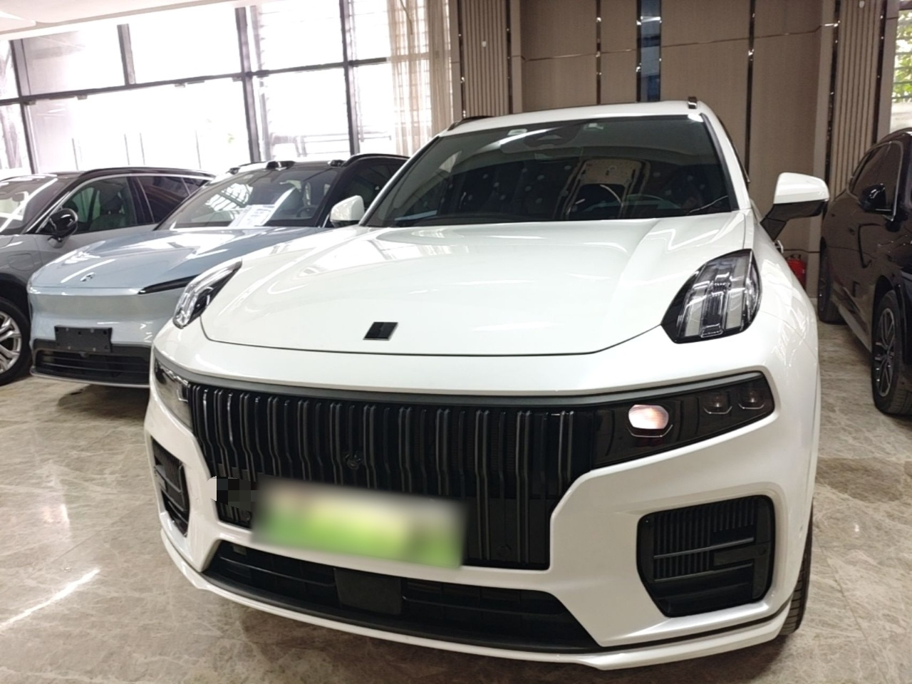 09 EM-P 2021 2.0T PHEV Halo 7-Seater photo 2