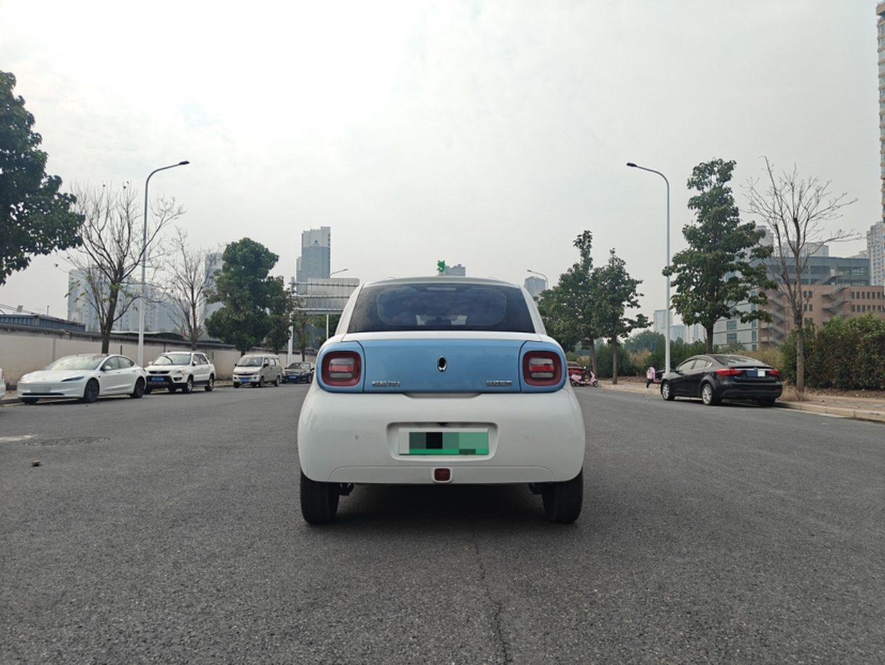 2019 310km photo 4