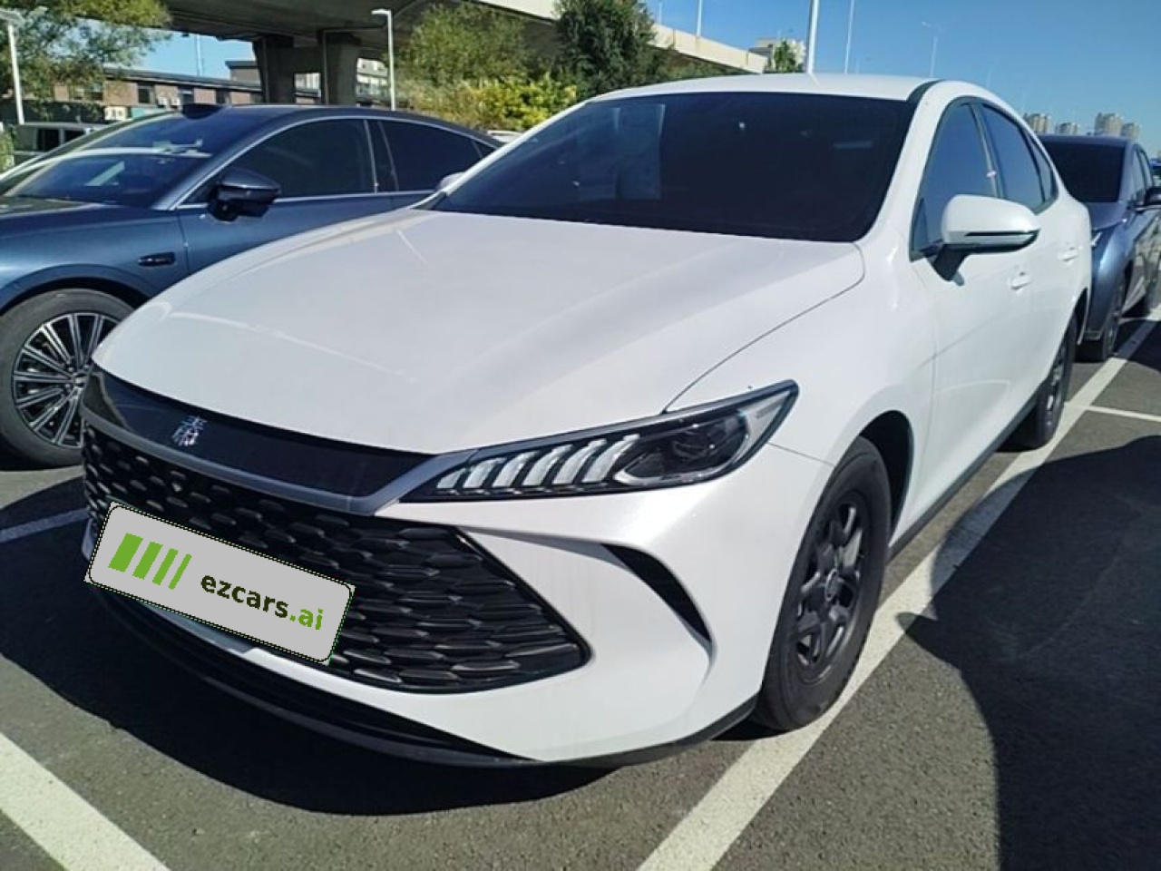 Qin PLUS 2025 DM-i ADAS 55KM Leading