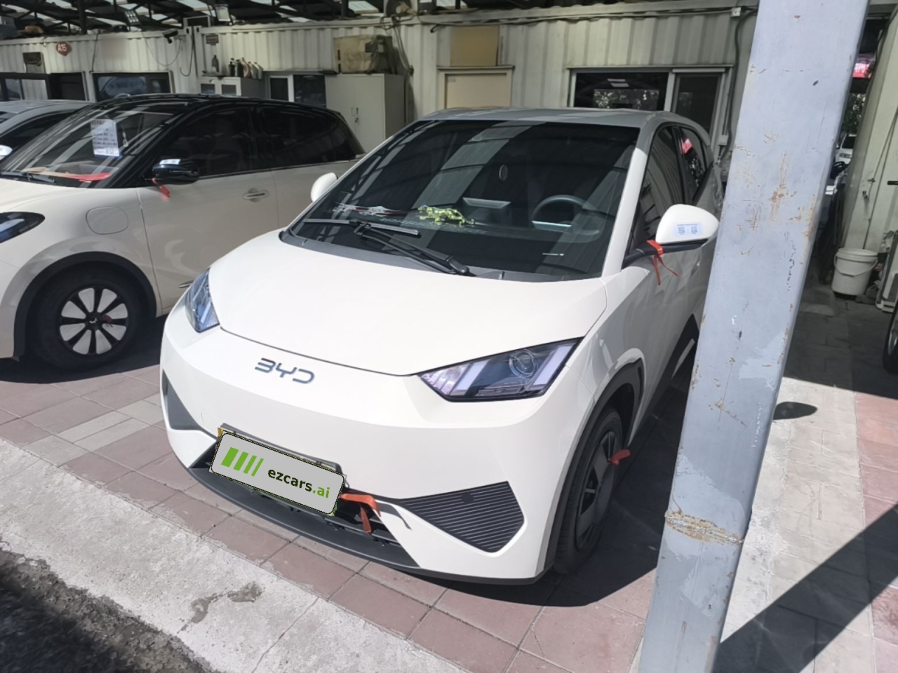 Seagull 2025 ADAS 305km