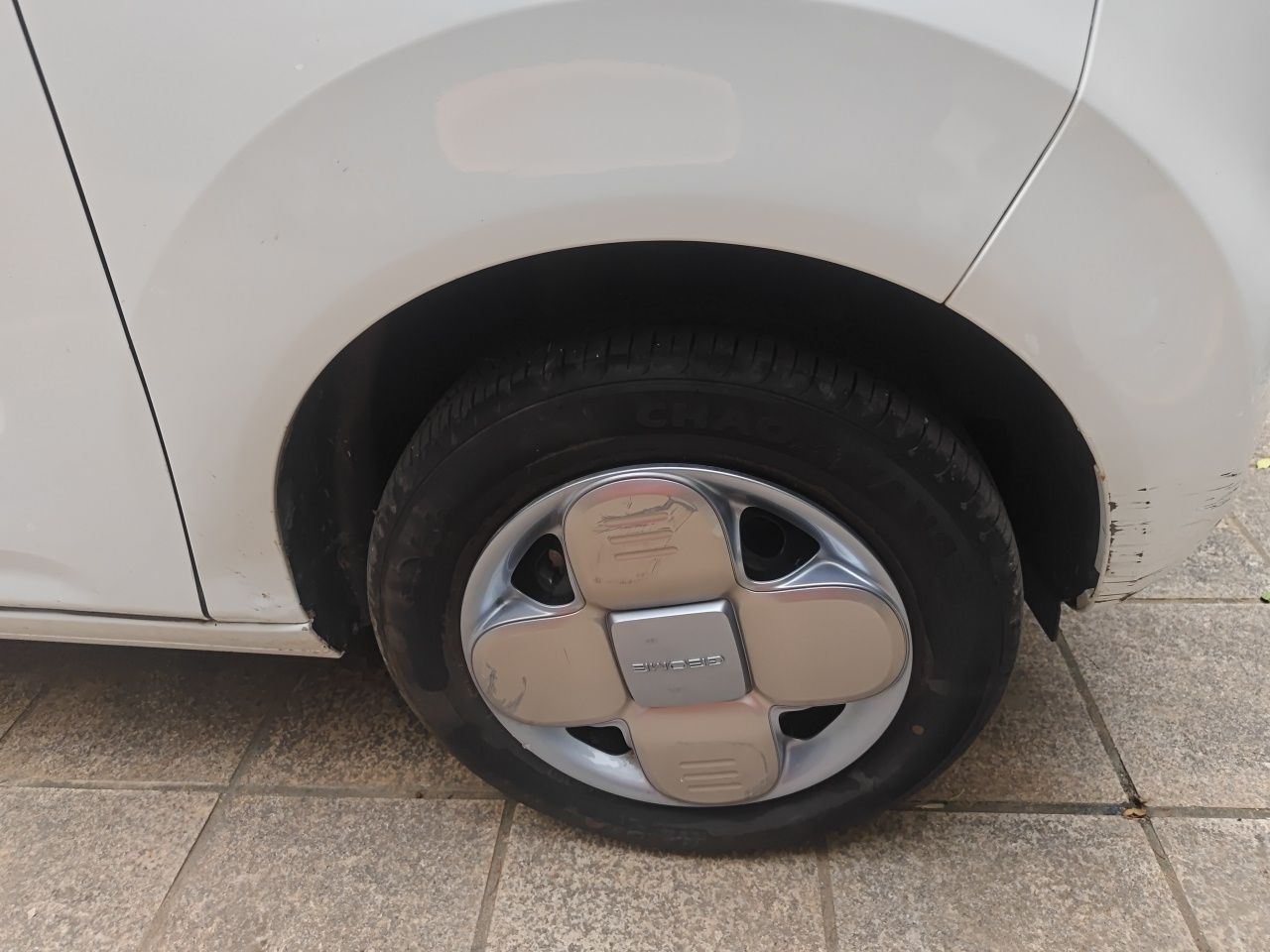 2024 Panda mini 200km Endurance Bear photo 5