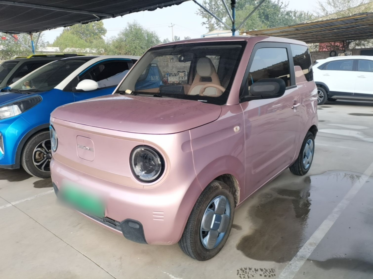 2023 Panda mini 200km Endurance Bear