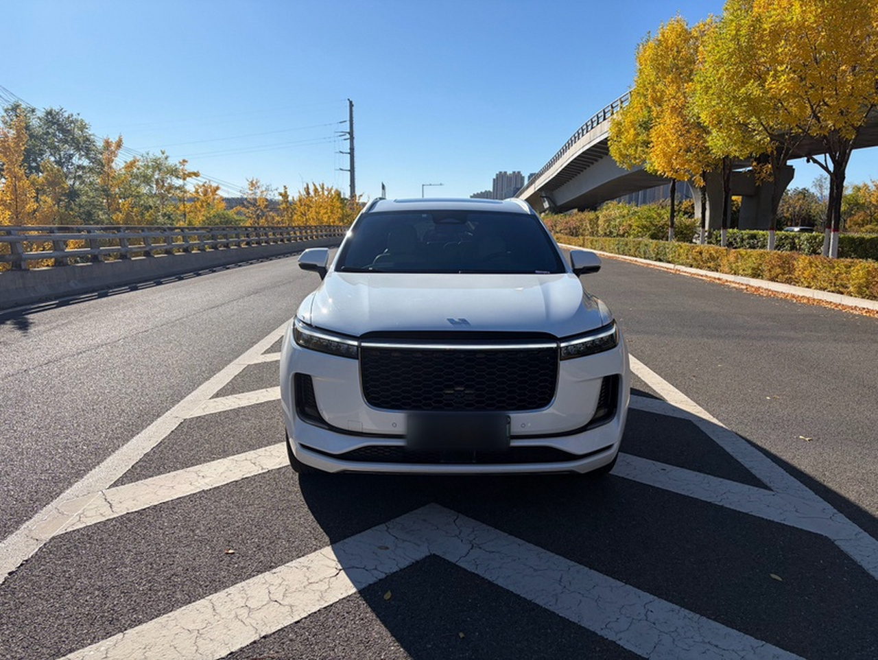Li Auto ONE 2021 EREV 6-Seater photo 3