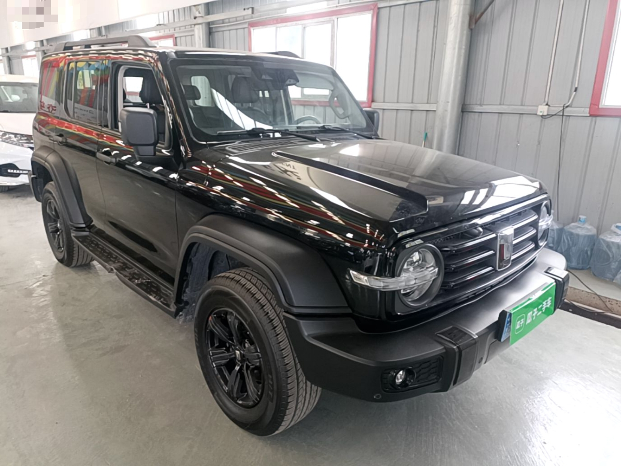 300 2023 Off-road 2.0T photo 3