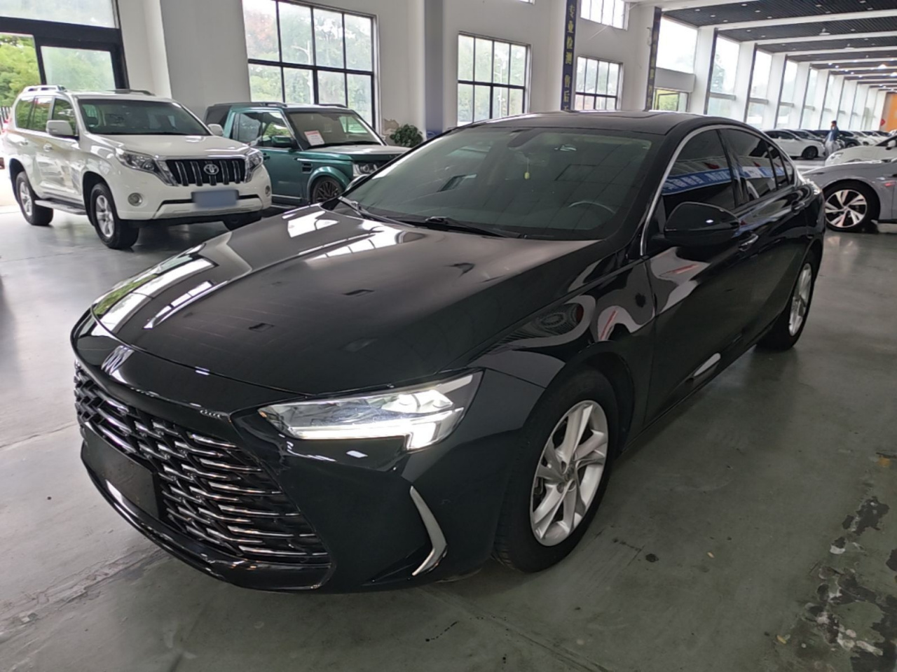 Regal 2024 25T