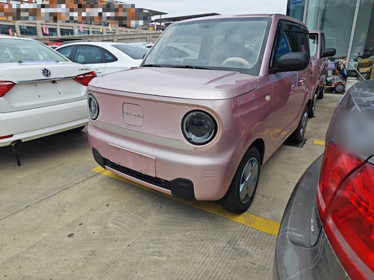 2023 Panda mini 200km Endurance Bear