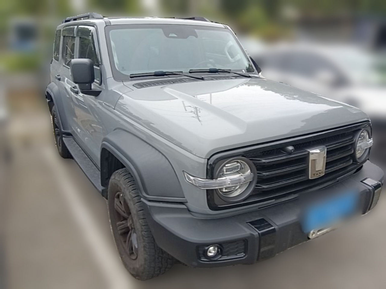 300 2021 Off-road 2.0T Conqueror photo 3