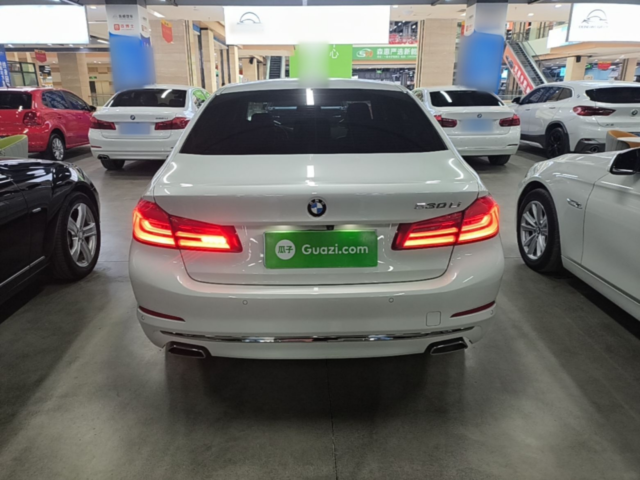 5 Series 2020 530Li Leading Luxury photo 3