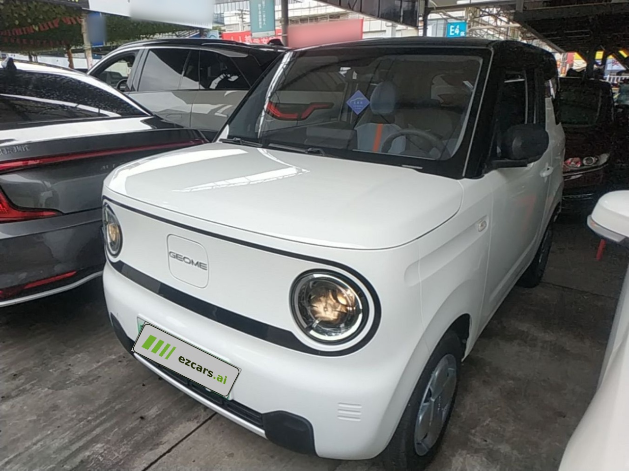 2024 Panda mini 200km Endurance Bear