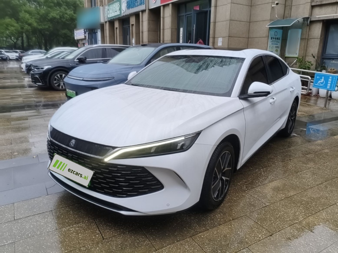 Qin L 2024 DM-i 120KM Leading