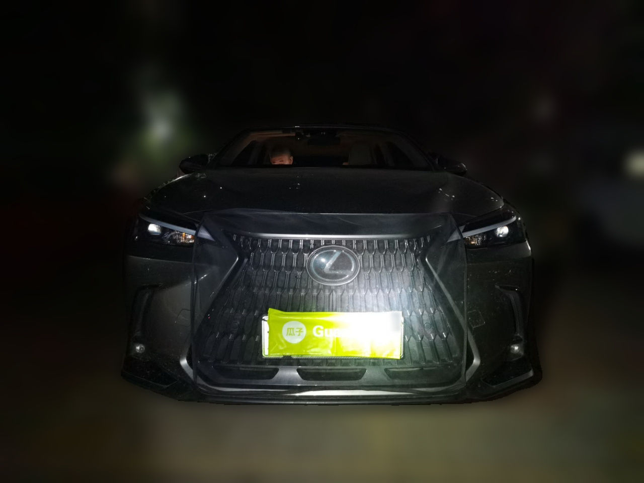 NX EV 2022 400h+ photo 2