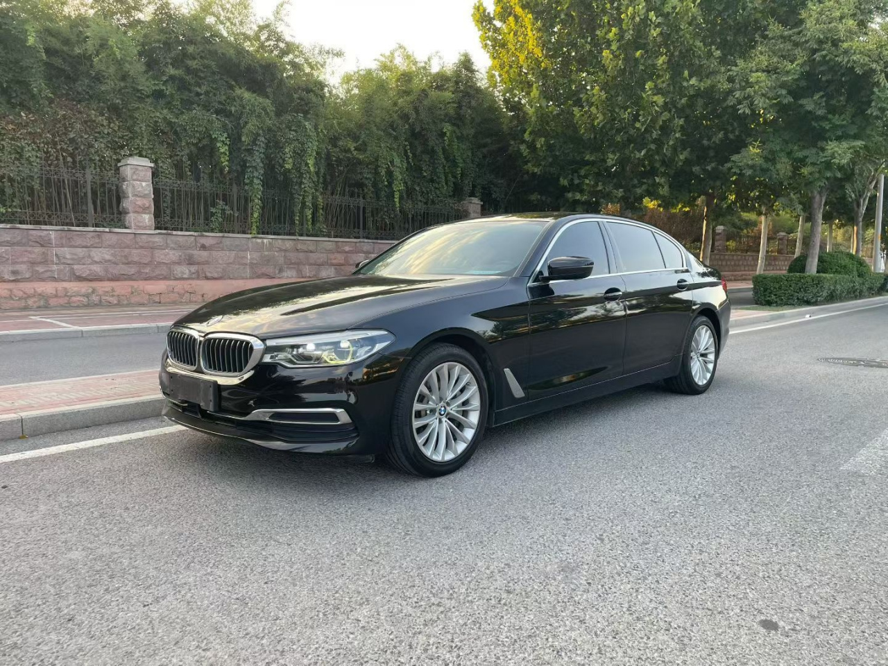 5 Series 2020 530Li Leading Luxury photo 2