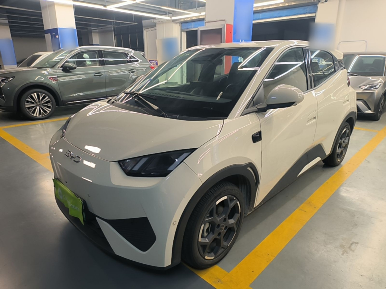 Seagull 2025 ADAS 305km