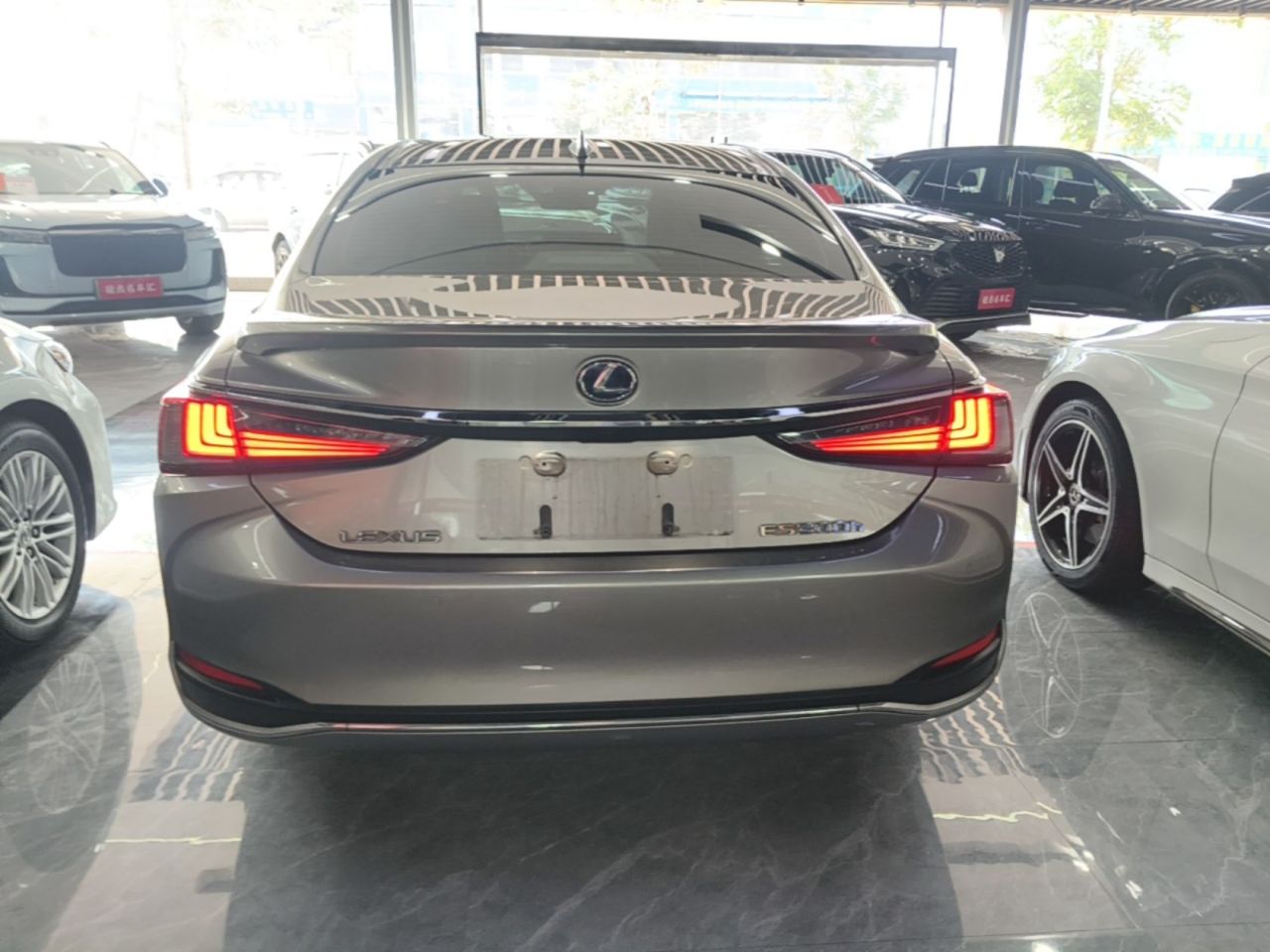 ES 2018 300h Excellence China VI photo 3