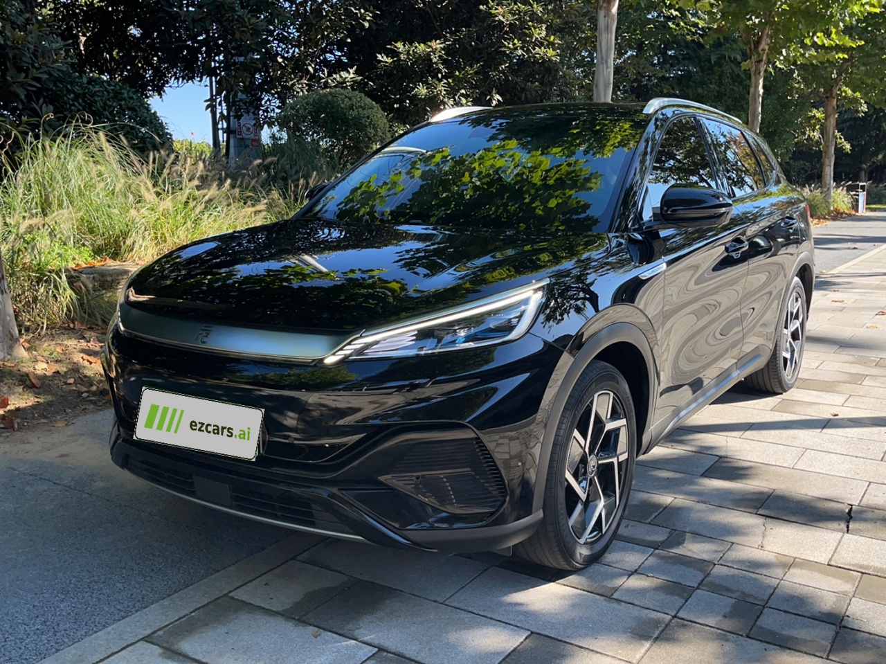 Yuan PLUS 2024 Honor 510KM Excellence