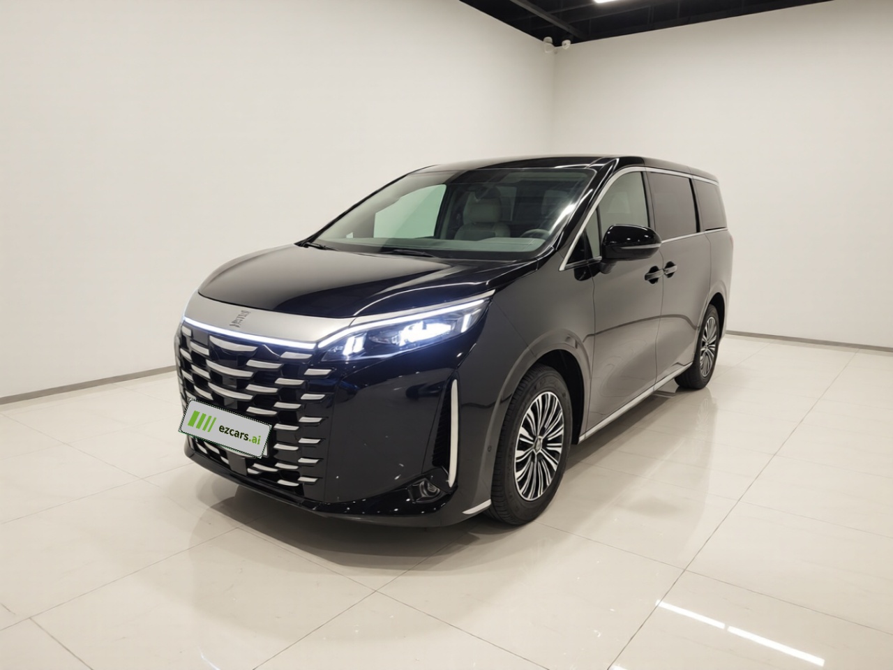 2025 DM-i 1.5T 180km Excellence