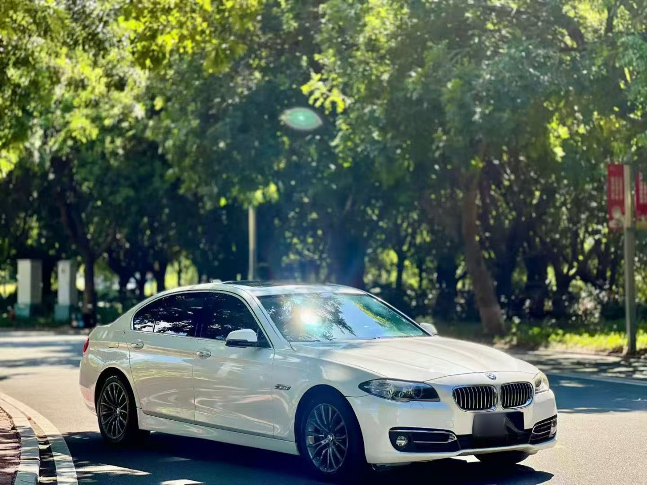 5 Series 2014 525Li Luxury Design Package photo 3
