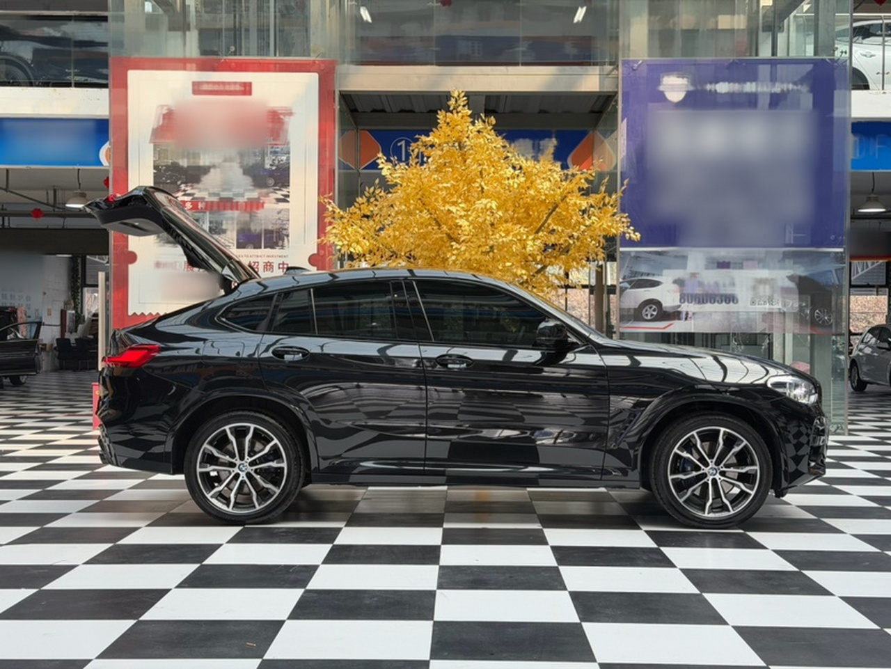 X4 2020 xDrive25i photo 3