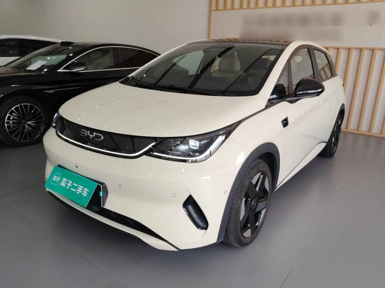 Dolphin 2025 ADAS 520km