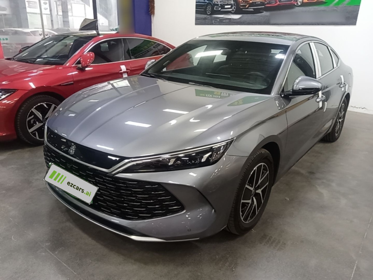Qin L 2024 DM-i 120KM