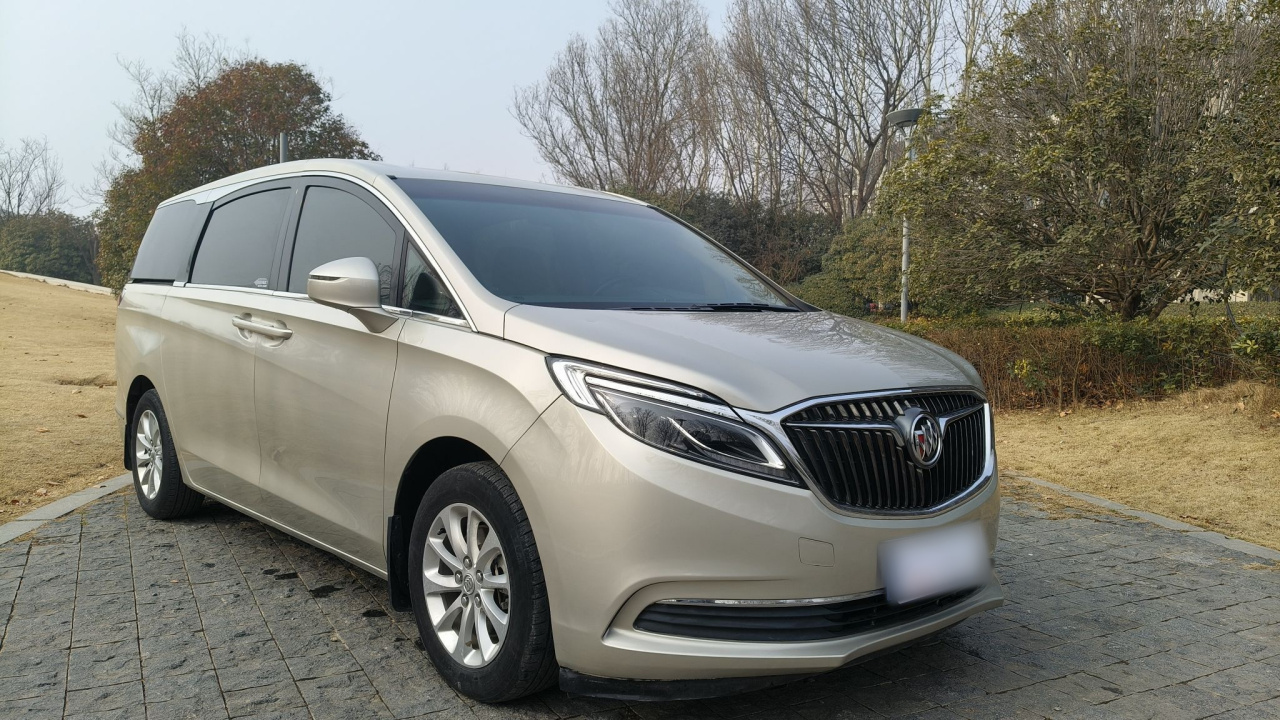 GL8 2017 ES 28T Exclusive China V photo 4