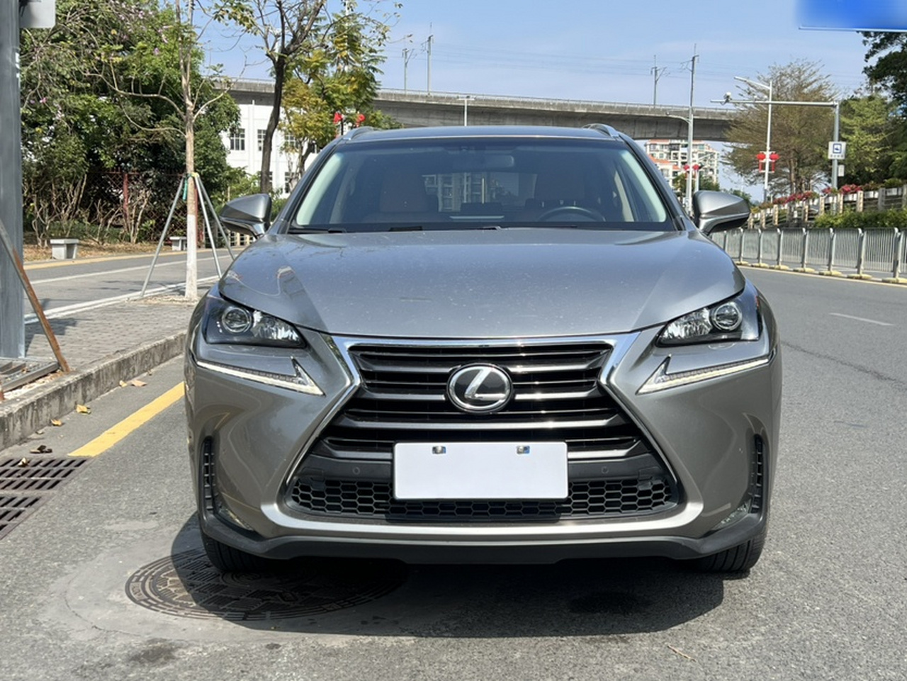 NX 2015 200t photo 2