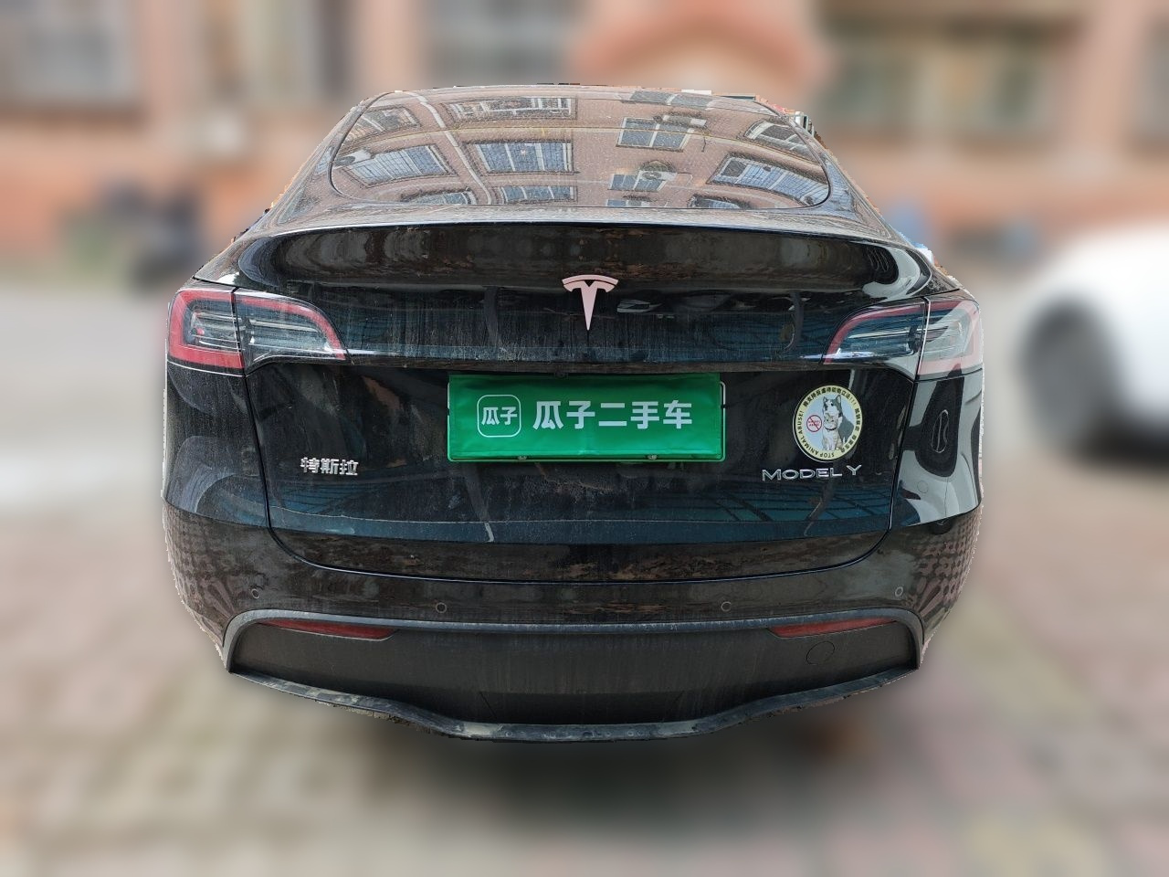 Model Y 2023 RWD photo 3