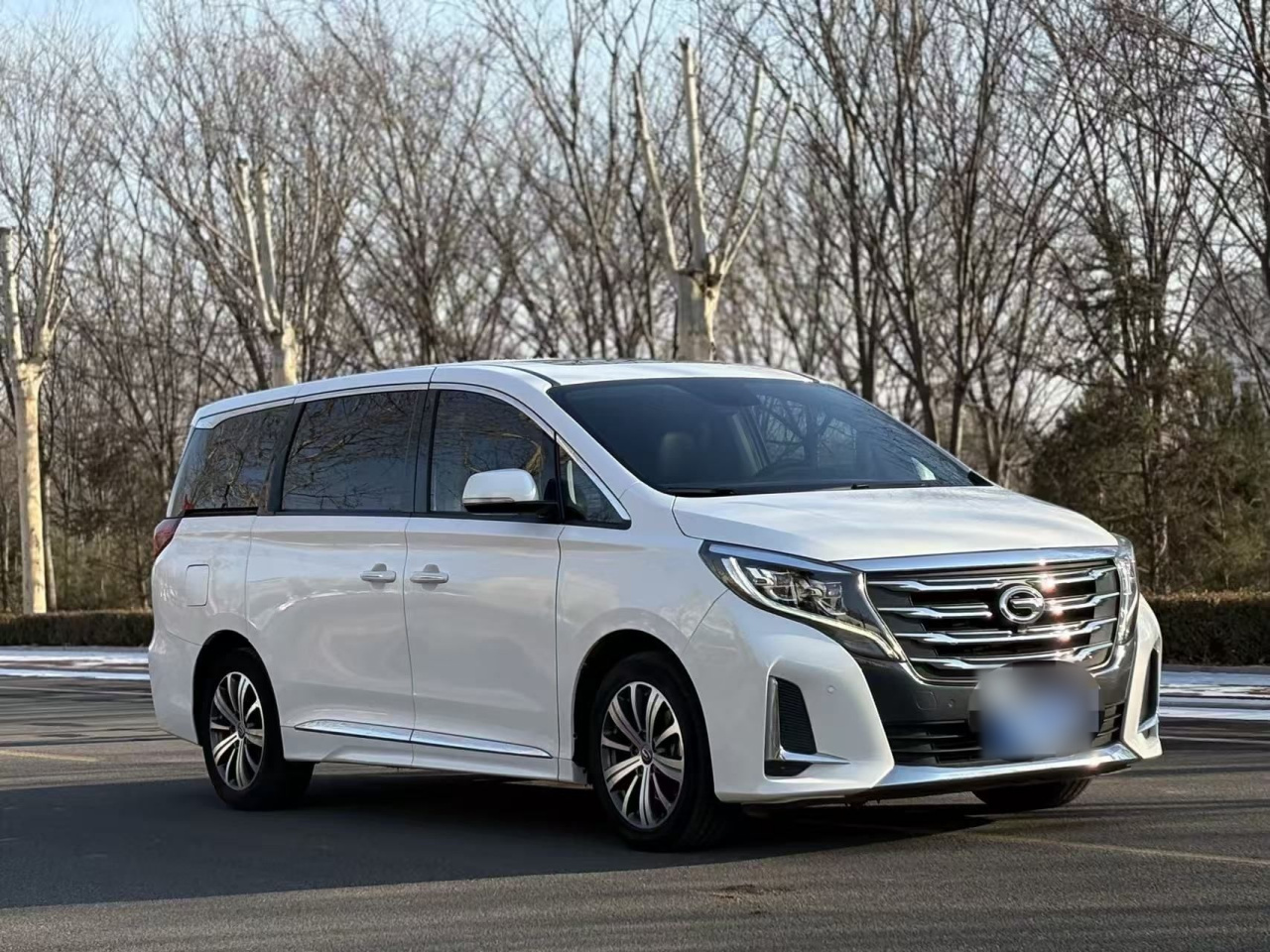 GAC Trumpchi M8 2020 Pilot 390T Premium