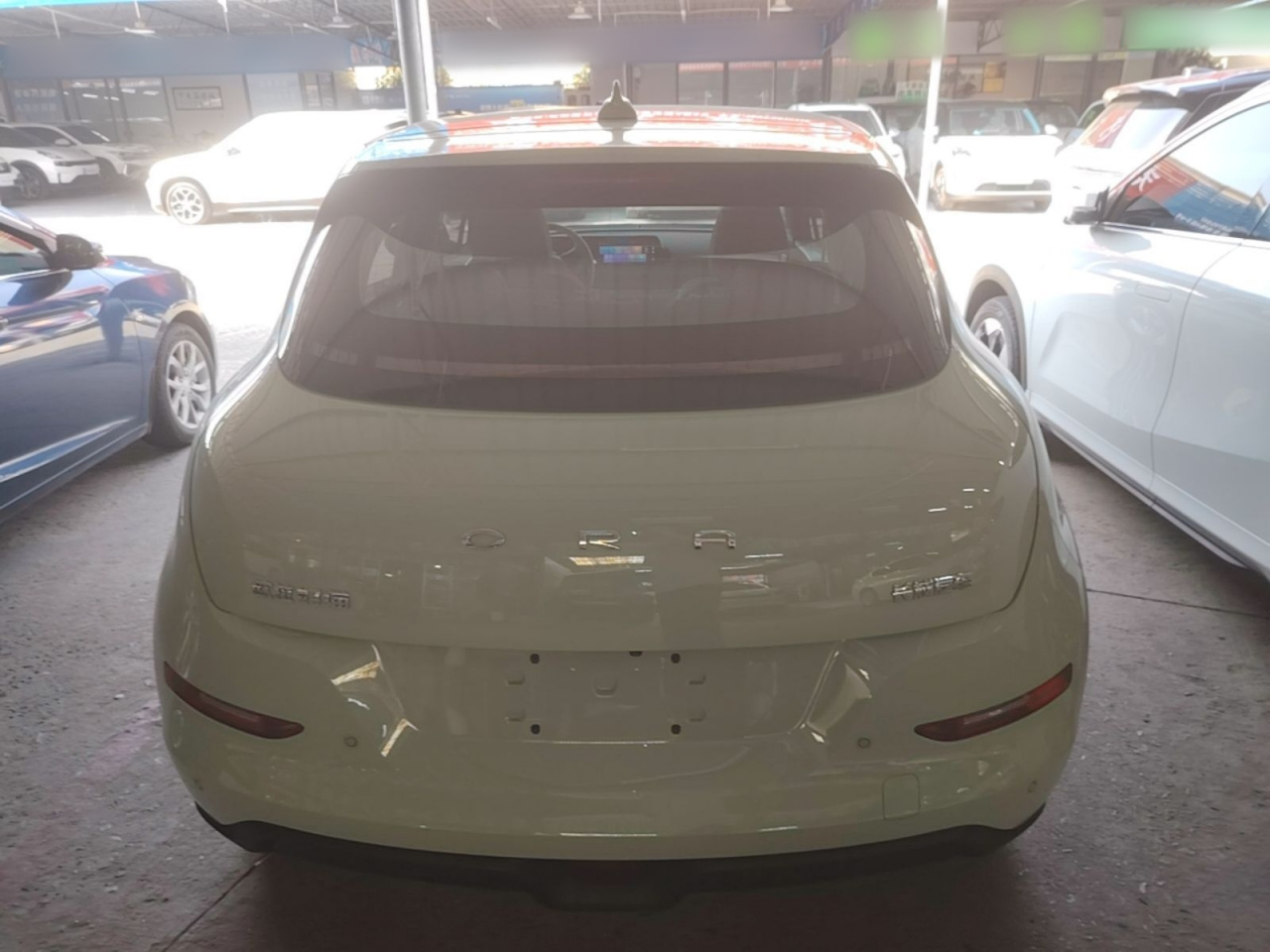 Good Cat 2023 401km Standard Range Premium LFP photo 5