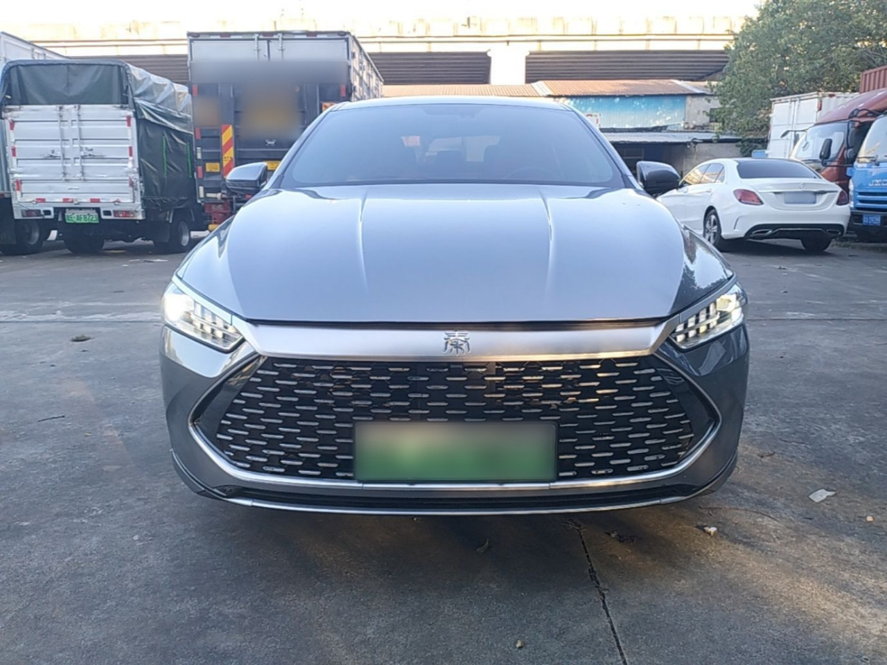 Qin PLUS 2024 Honor DM-i 55KM Leading photo 2
