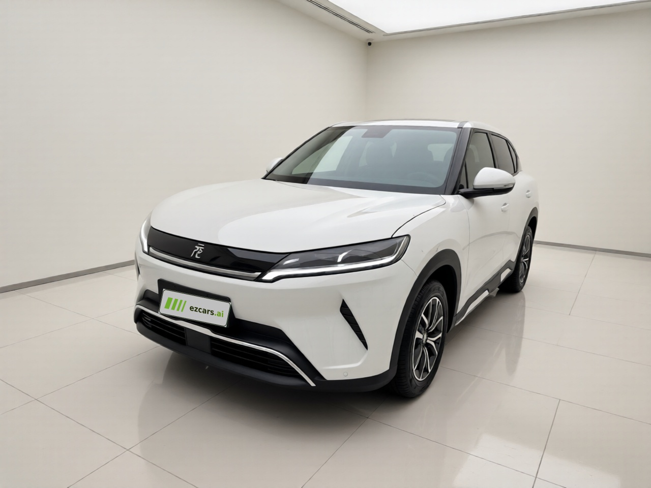 Yuan UP 2025 301KM Pilot