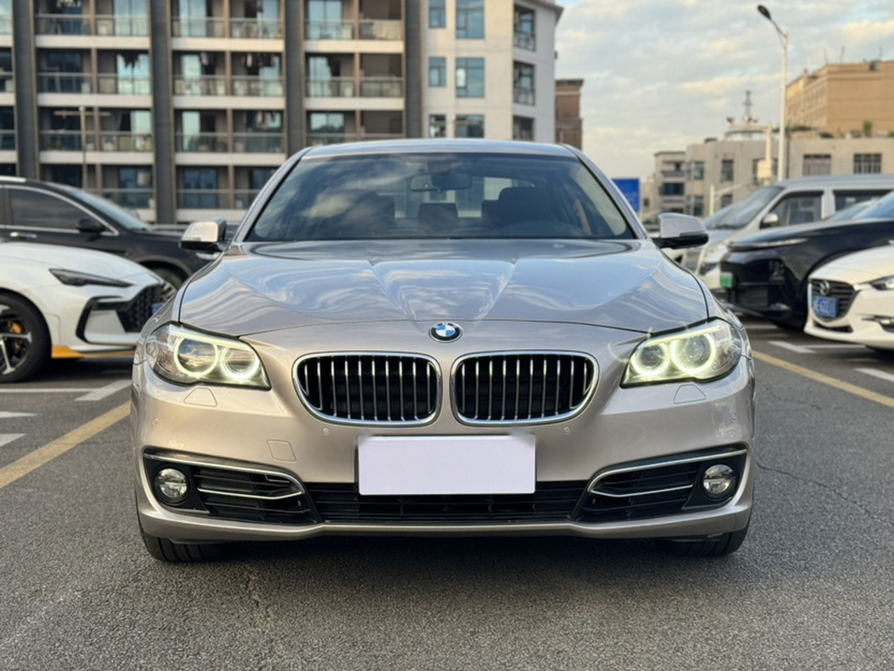 5 Series 2014 525Li Luxury Design Package photo 2