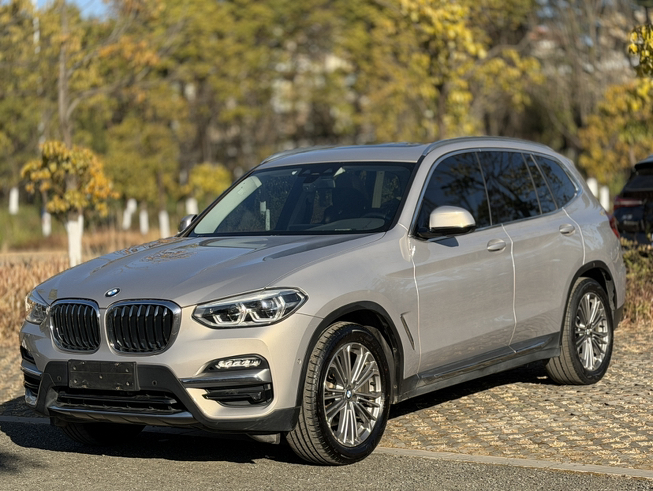 X3 2018 xDrive28i Luxury China VI