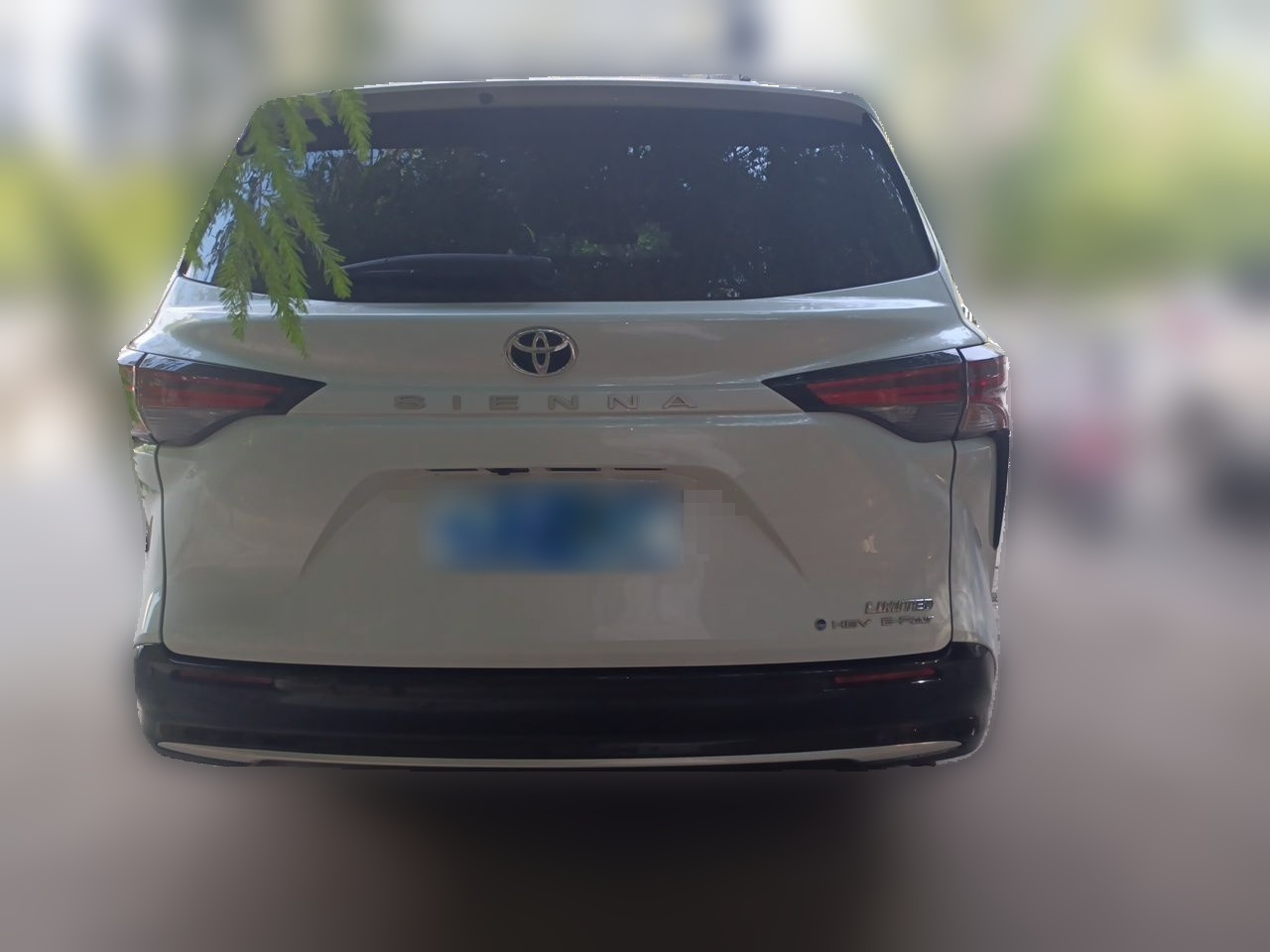 Sienna 2024 2.5L Hybrid AWD Premium photo 5