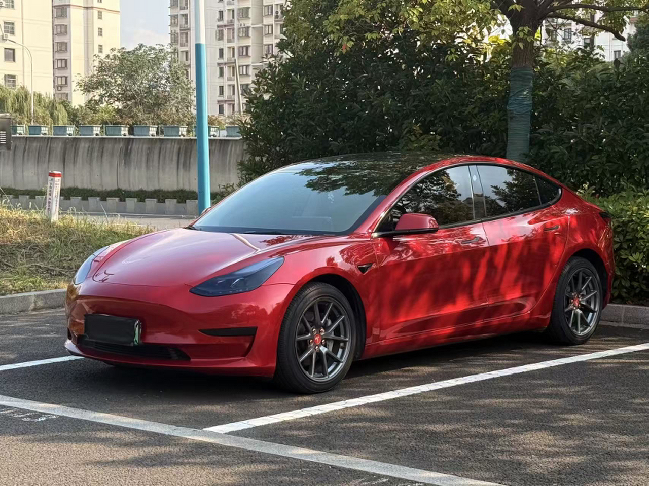 Model 3 2021 Standard Range RWD Upgraded 3D6
