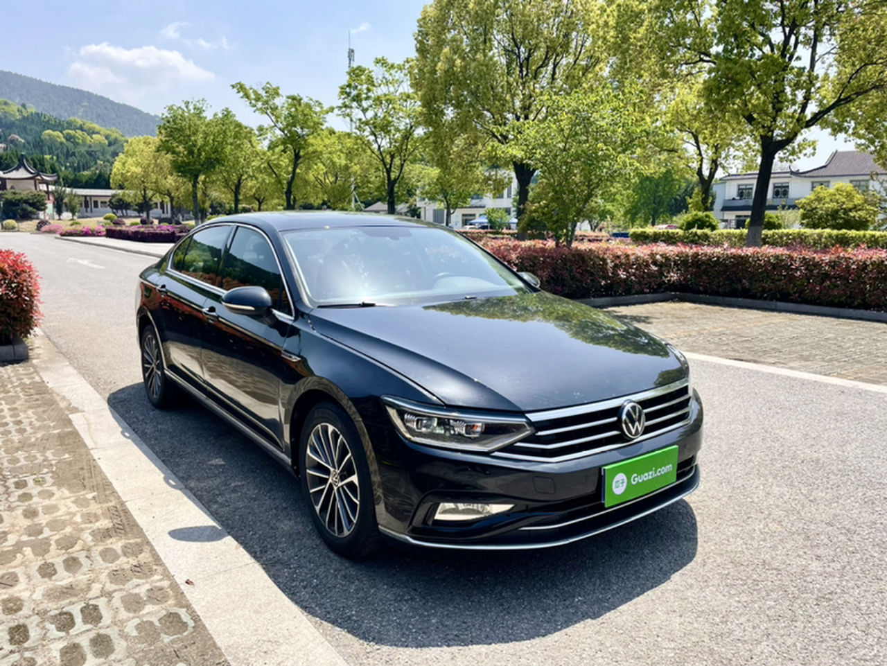 Magotan 2020 330TSI DSG Luxury photo 3