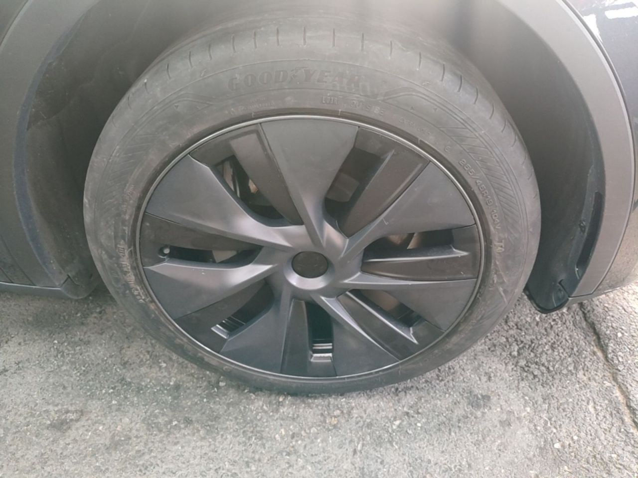 Model Y 2024 RWD photo 3