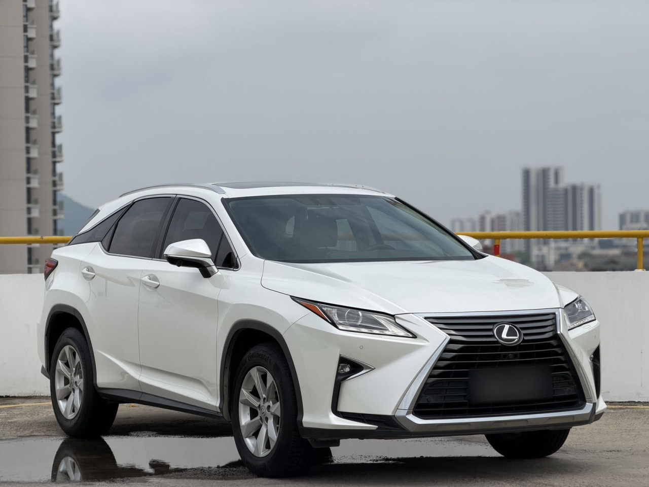 RX 2016 300 RWD Elite China V photo 3